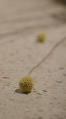 Banco de Roble Aceitado | Ethnicraft Bok | Oroa.es