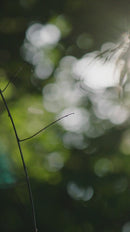 Mesita de Noche con Tablero de Vidrio | Ethnicraft Spindle | Oroa.es