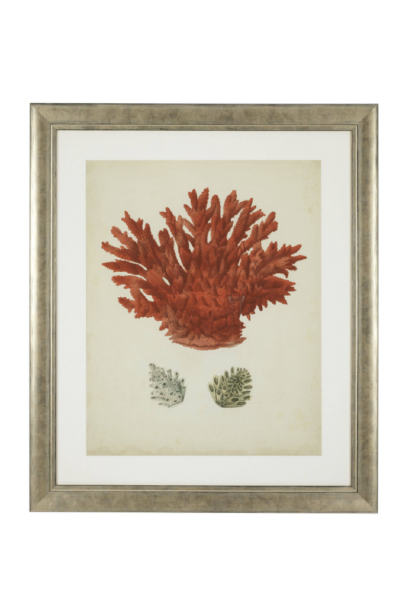 Set de Impresiones de Coral | Eichholtz Red Corals | OROA.es
