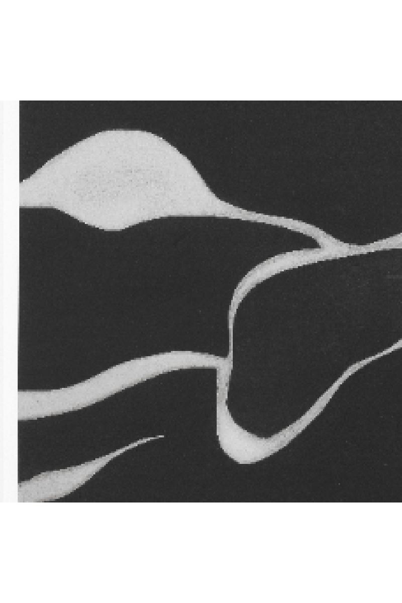 Impresión Artística Abstracta | Eichholtz Litho: Tides in Sepia III | Oroa.es